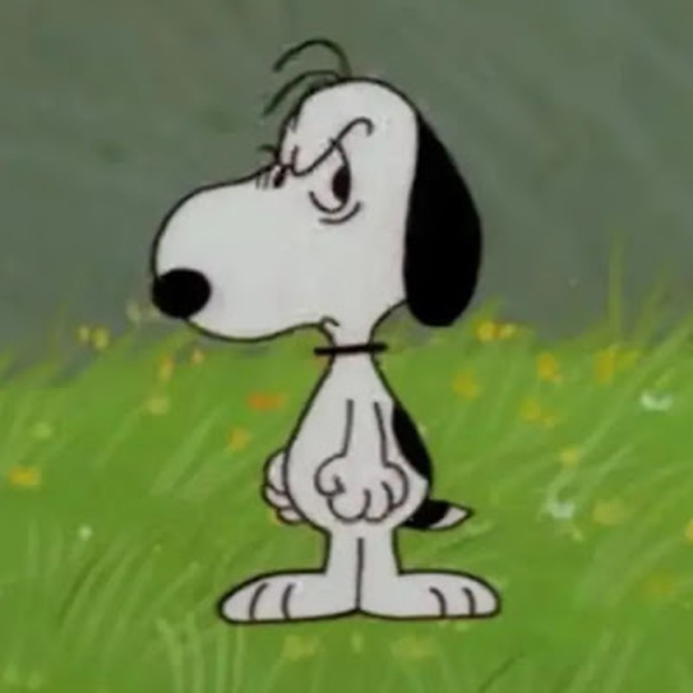 Meet your Posher, Toasterdog